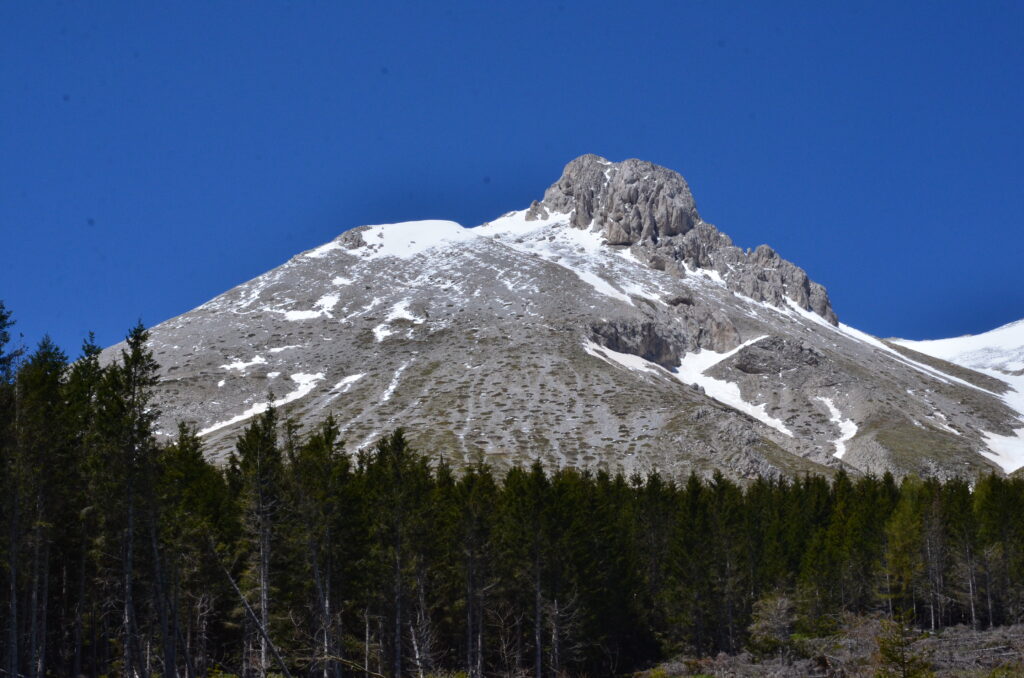  Il Monte Camicia emerge dai boschi presso Fonte Vetica (AQ) – foto N.Olivieri