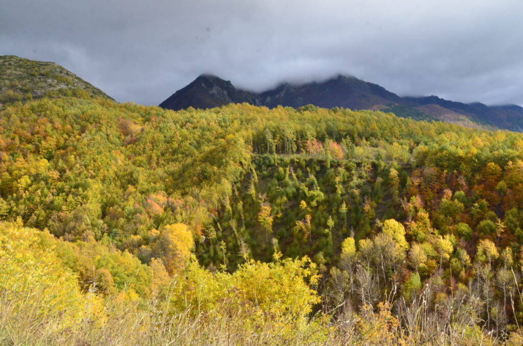 Colori dell’autunno sul versante laziale dei Monti della Laga presso Amatrice (RI) – foto N.Olivieri